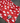 Loon Signature Shorts